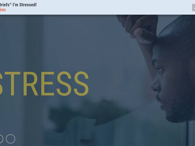 TrainingBriefs® I’m Stressed!