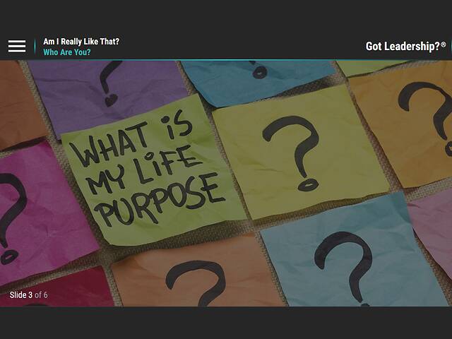 LearningBytes® Am I Really Like That?